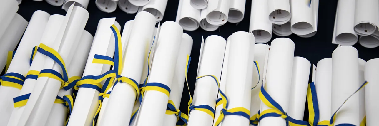 A bunch of diplomas tied together with blue and yellow ribbons. Photo: Charlotte Carlberg Bärg.