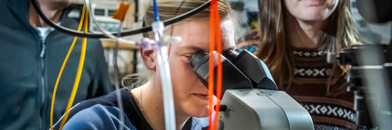 Person looking into a microscope. Photo.