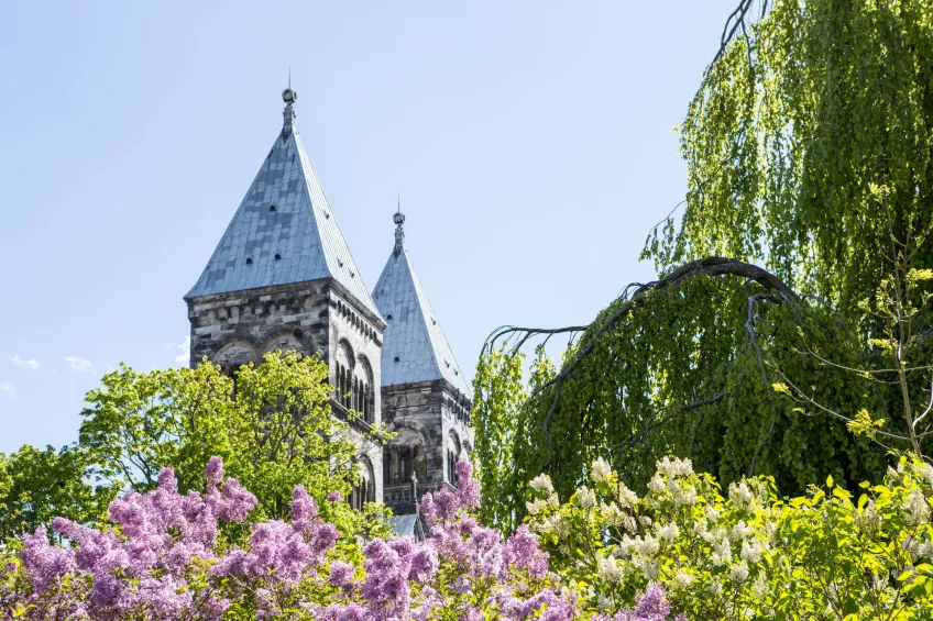 Lund Cathedral towers with lilacs in the front