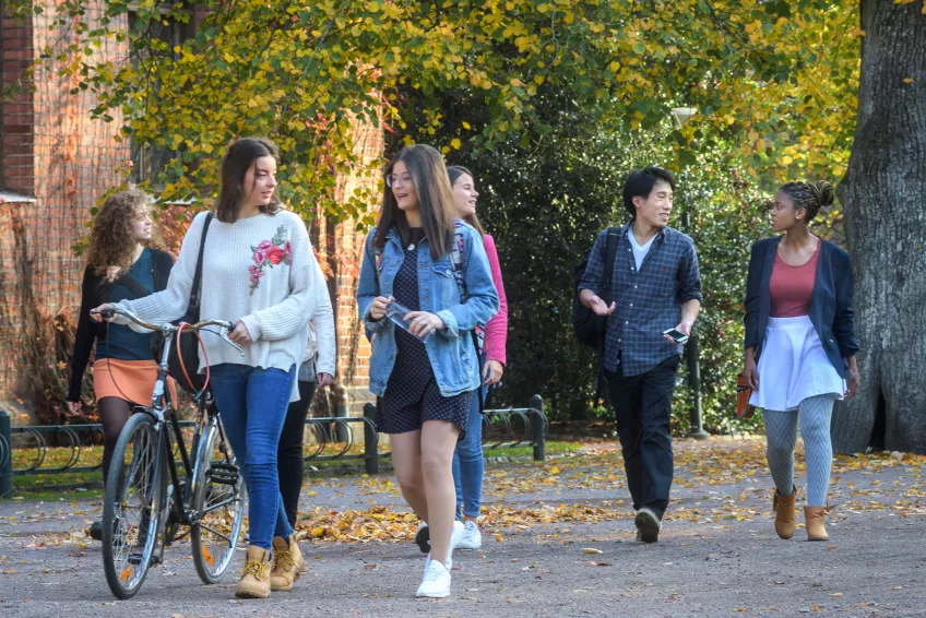 Several students walking and talking close to Kungshuset in autumn