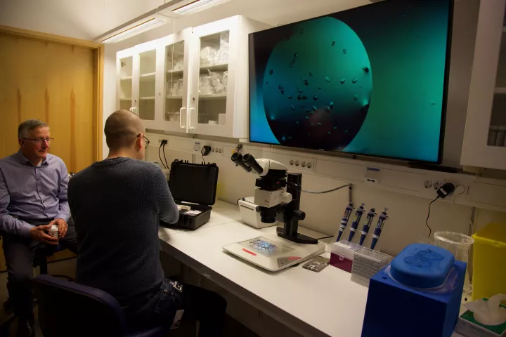 Two researchers in a lab with a screen and a microscope (Photo: Tove Smeds)