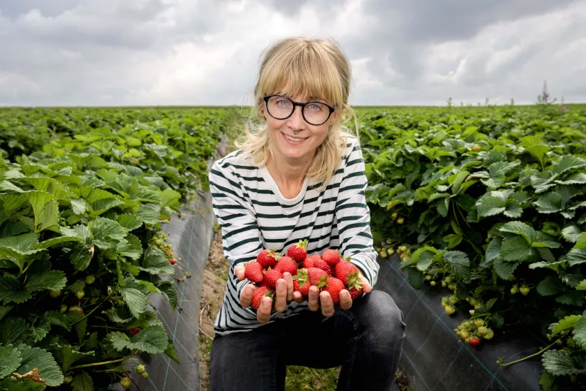 Lina Herbertsson in a field, holding strawberries