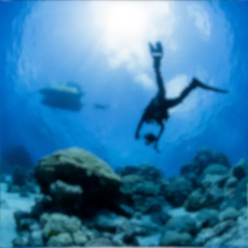 Diver in sea, blurry image