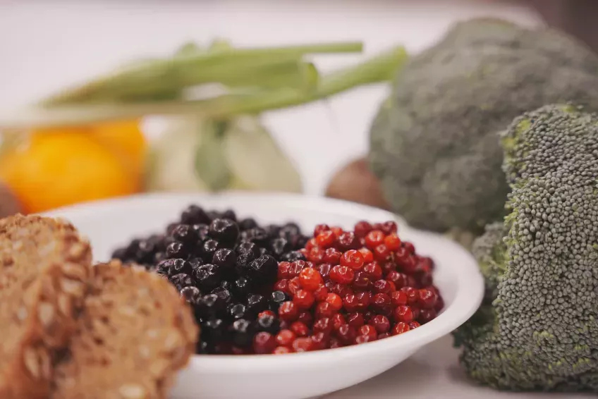 Blueberries, lingonberries and rye bread are among the foods that Åsa Håkansson and Frida Hållenius have studied and found to favour the gut microbiota.