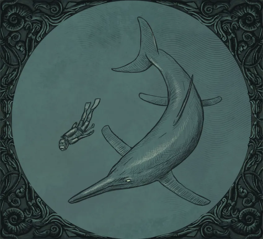 illustration of the animal compared to a human