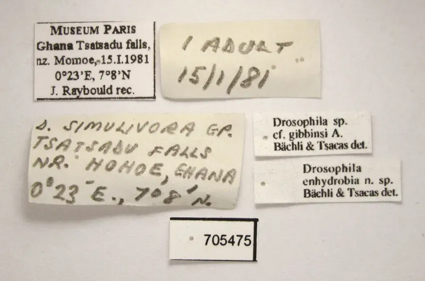 Old museum notes of species
