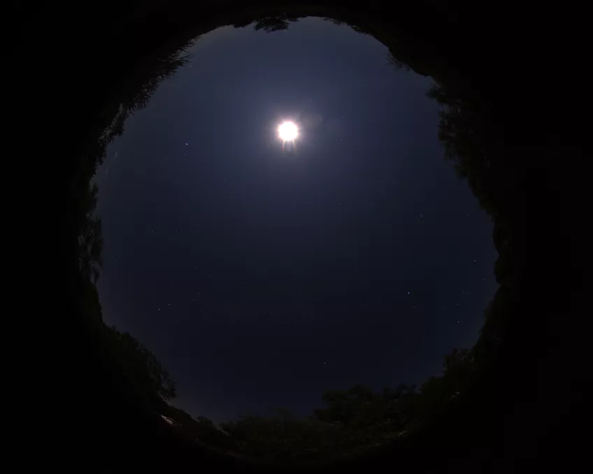 Long-exposure photograph of a moonlit sky. 