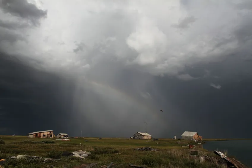 Eastern Siberia, where the willow warblers breed in summer (Photo: Kristaps Sokolovskis)