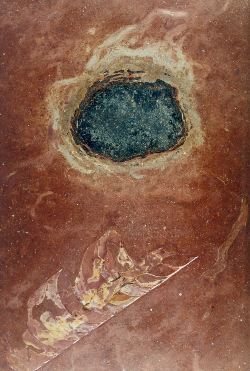Fossil meteorite found in Kinnekulle, Sweden