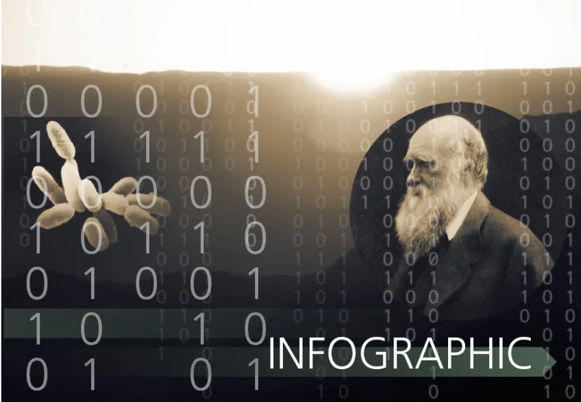 There are more than 100 definitions of life - click on the image!