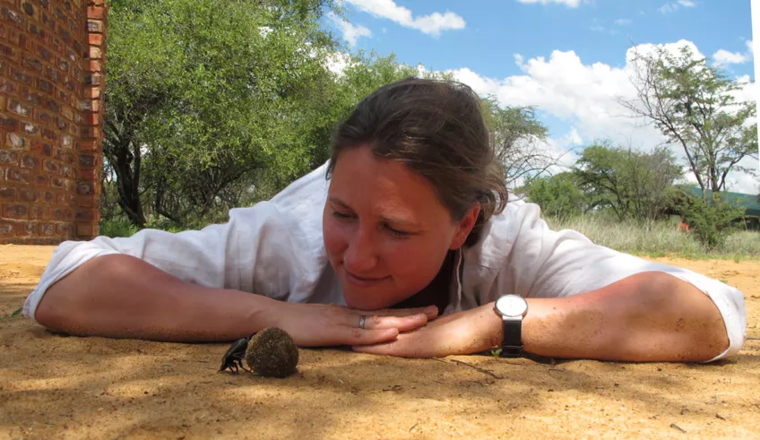 Marie Dacke with a dung beetle (Photo: Emily Baird)