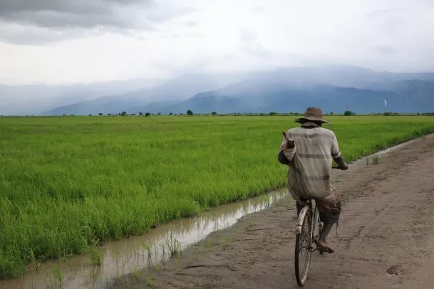 Man on bicycle in Africa