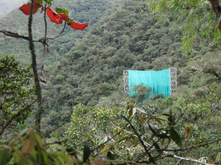 On a wild mountain slope of the Peruvian jungle, researcher Dan Metcalfe has strung up his huge plastic curtain.